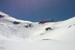 heli-skis